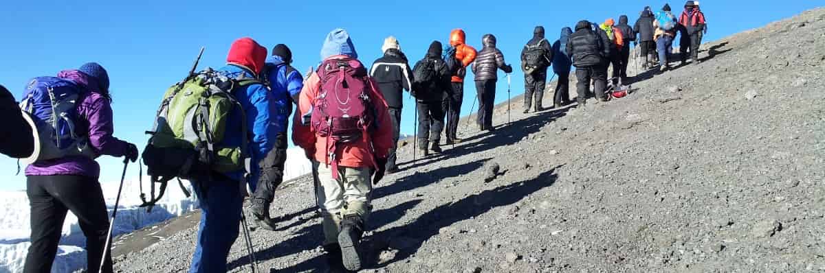 Price Cost To Climb Kilimanjaro