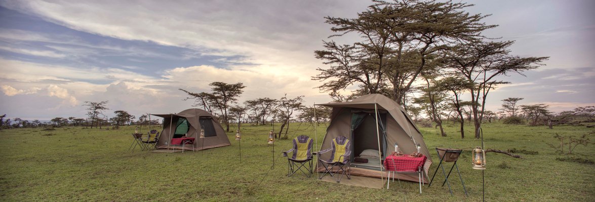 3 Days Tanzania Budget Safari