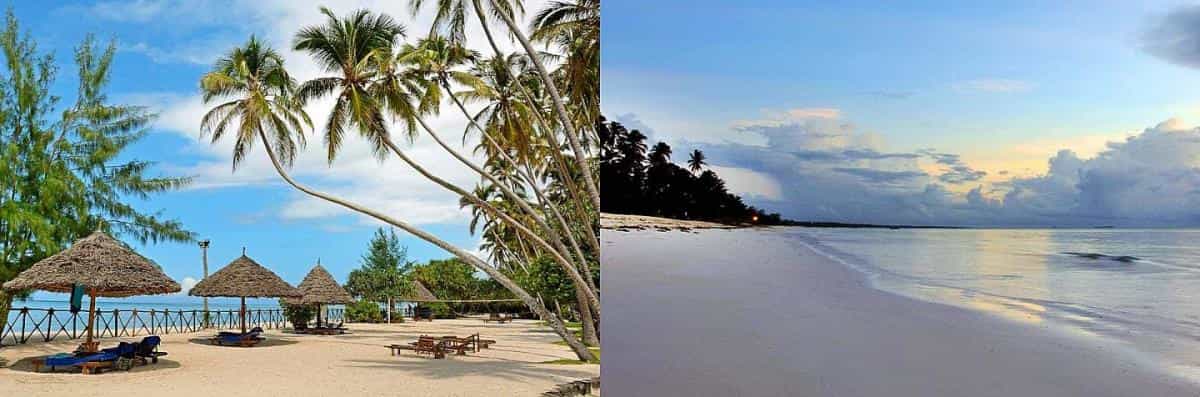 When is the Best time Of Year to Visit Zanzibar Island