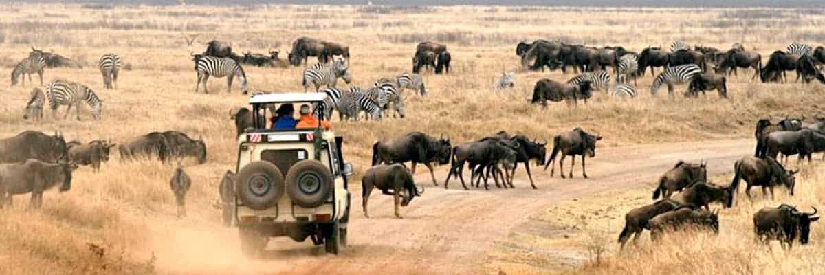 Exclusive Tanzania | 7-Day Budget Safari.