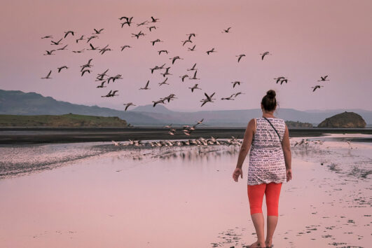 7 days budget safari lake natron