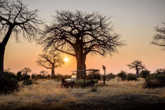 Southern Tanzania Safari