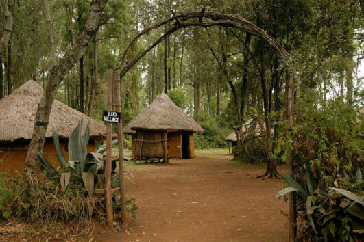 1 Day Bomas of Kenya Tour
