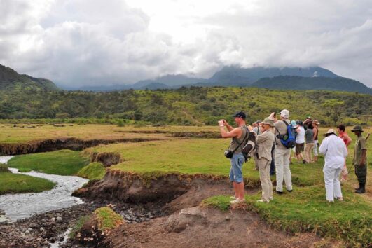 1 Day Tour Arusha National Park Walking Safari