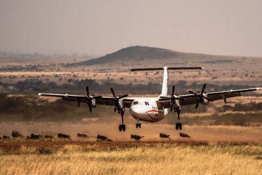3 day fly in Mombasa to Masai Mara safari