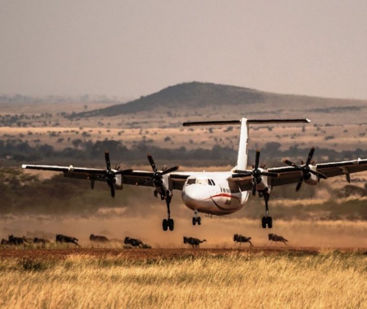 3 day fly in Mombasa to Masai Mara safari