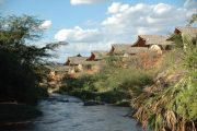 Man Eaters Camp Rooms