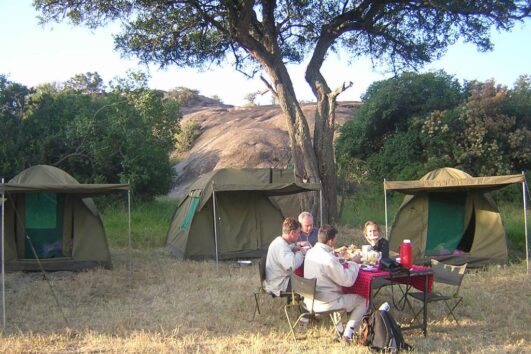 2 Days Tanzania Camping Safari & Prices