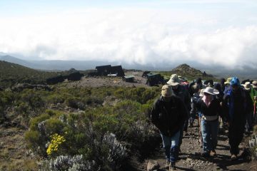 3 Day Mount Kilimanjaro Short Hike Marangu Route