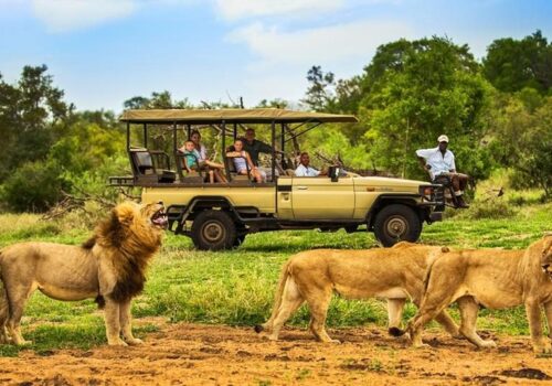 5 Day Tanzania Lodge Safari Tarangire & Serengeti