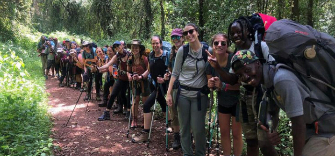 Day Trip Kilimanjaro Trekking
