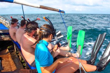 Day Trip Mafia Island Guides of Africa
