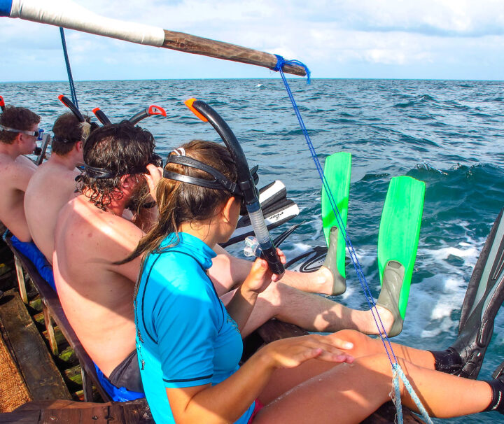 Day Trip Mafia Island Guides of Africa