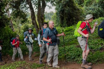 Trekking Marangu Route Day Tour Tanzania Guides of Africa
