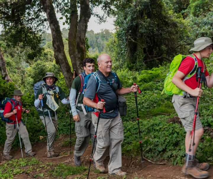 Trekking Marangu Route Day Tour Tanzania Guides of Africa