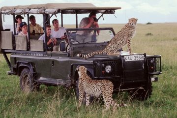 3 Days Masai Mara Safari Guides of Africa