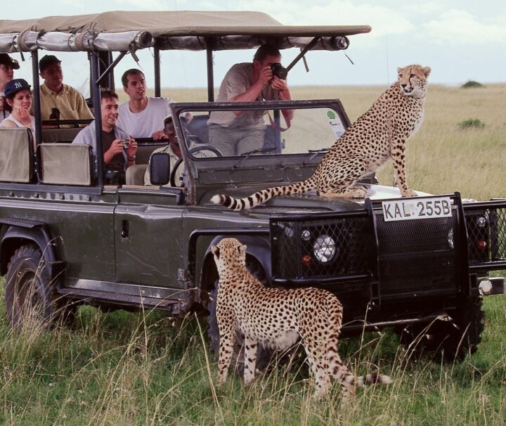 3 Days Masai Mara Safari Guides of Africa