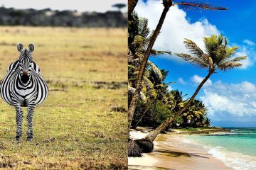 18 Day Kilimanjaro Trek Wildlife Safari and Zanzibar Beaches