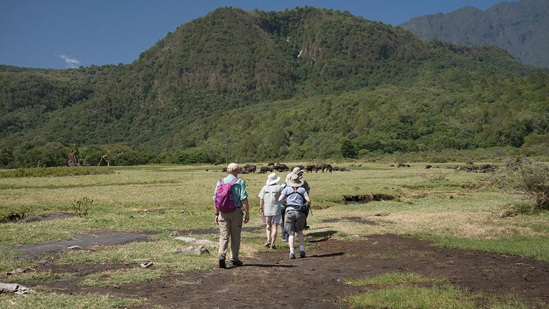 2 Day Safari Arusha Tarangire National Park Guides of Africa
