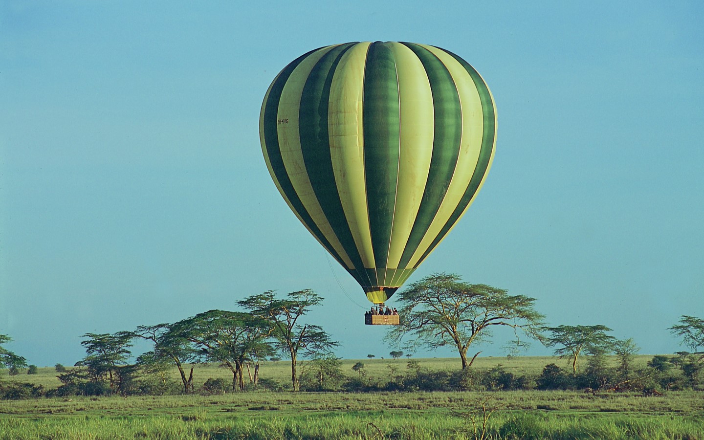 3 Days Fly in Tanzania Safari to Ngorongoro and Serengeti Guides of Africa