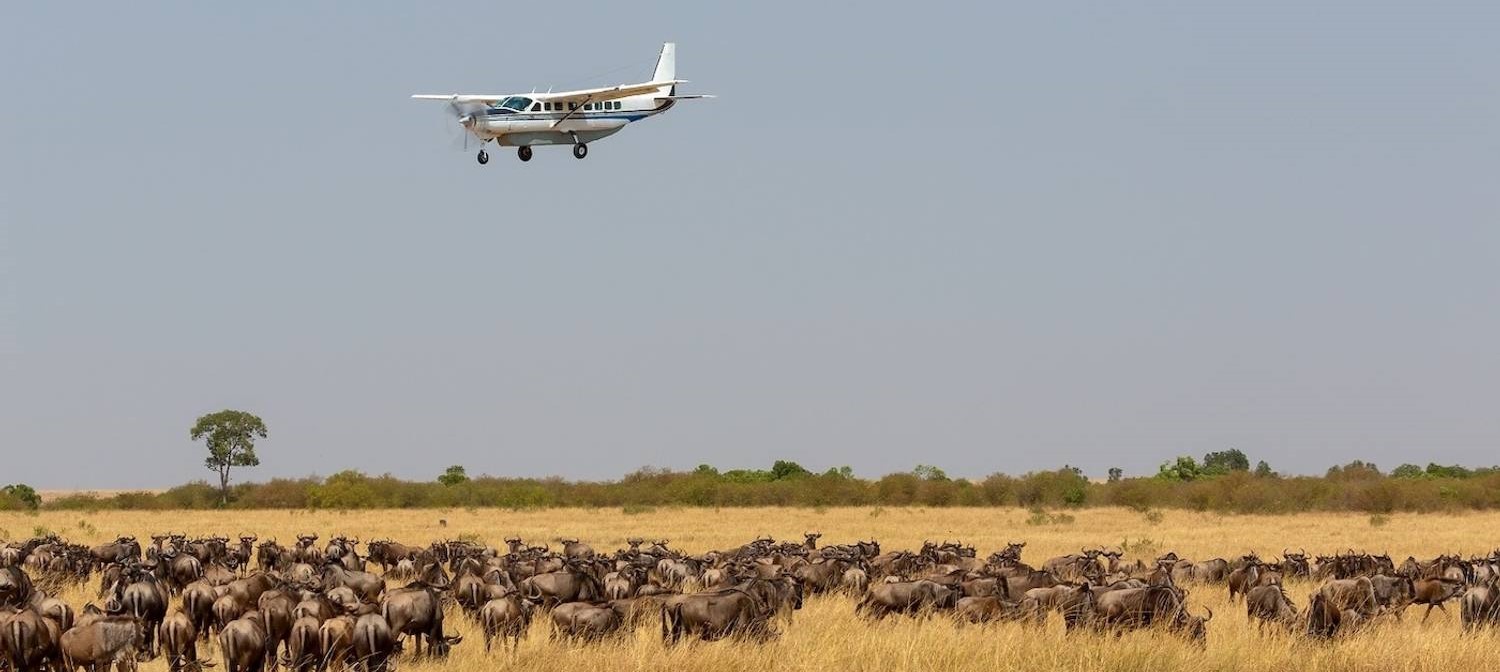 3 Days Fly in Tanzania Safari to Ngorongoro and Serengeti