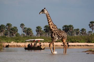 Boat Safari Nyerere National Park Tanzania Guides of Africa