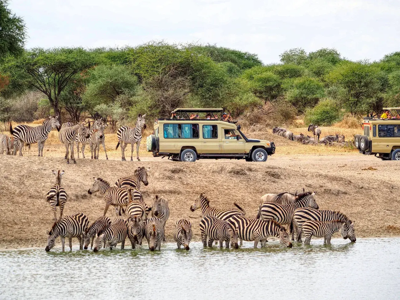 4 Days Southern Tanzania Safari Guides of Africa