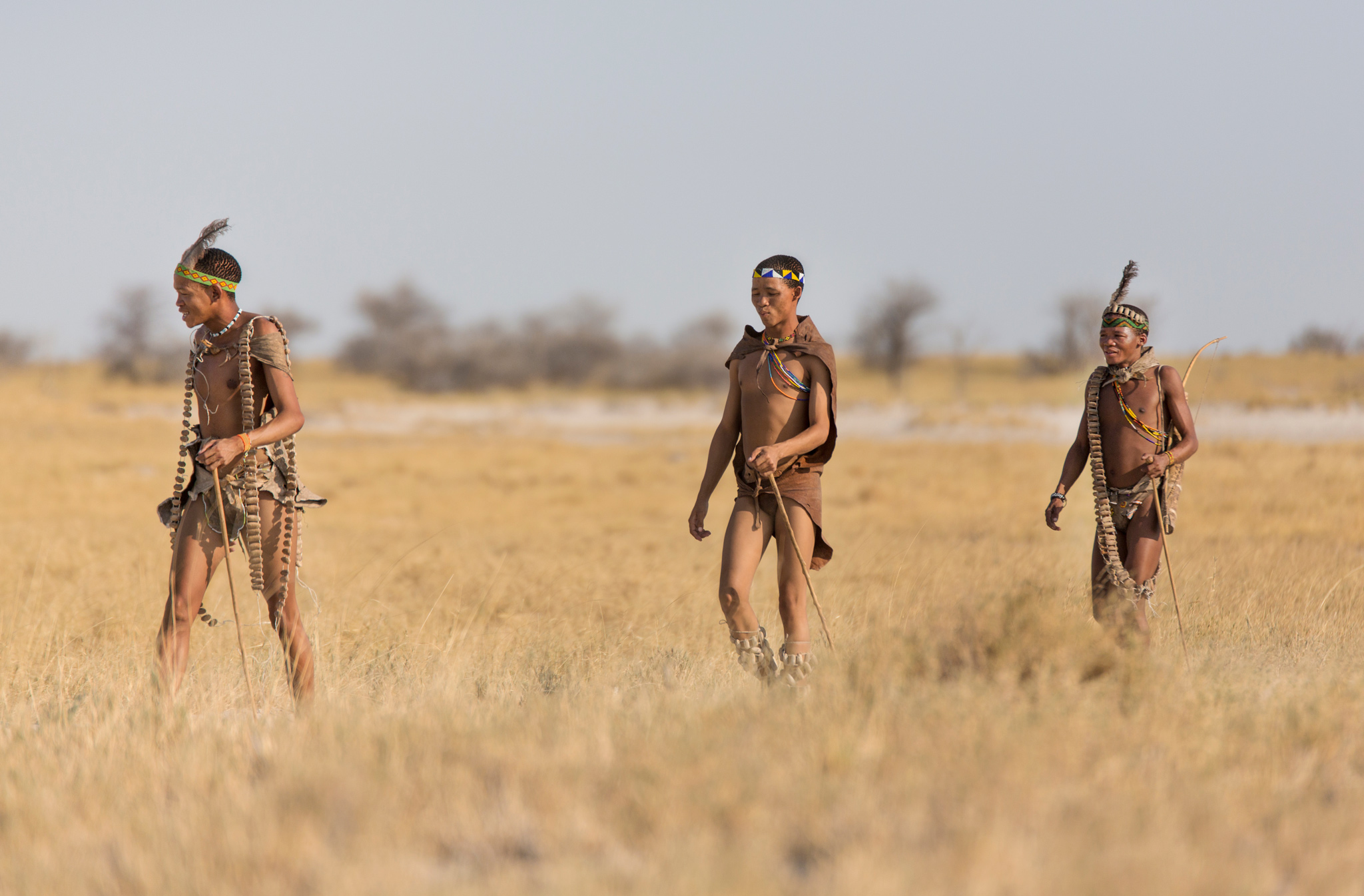 Bushmen botswana Guides of Africa