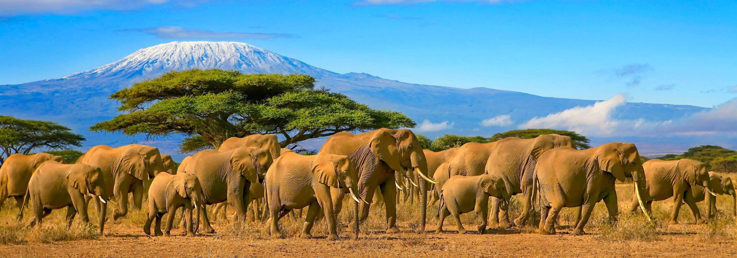 Tanzania Guides of Africa